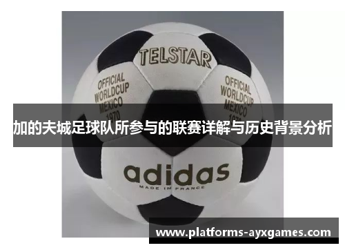 加的夫城足球队所参与的联赛详解与历史背景分析